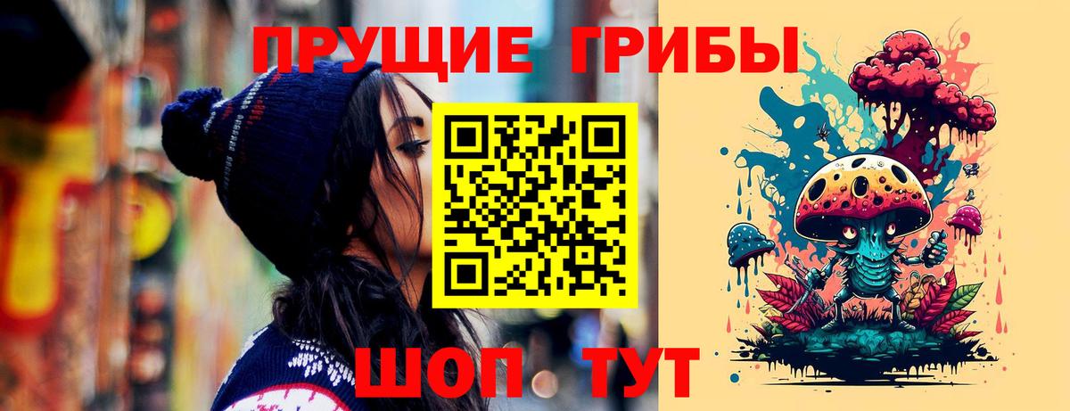 Псилоцибиновые грибы мицелий Бутурлиновка