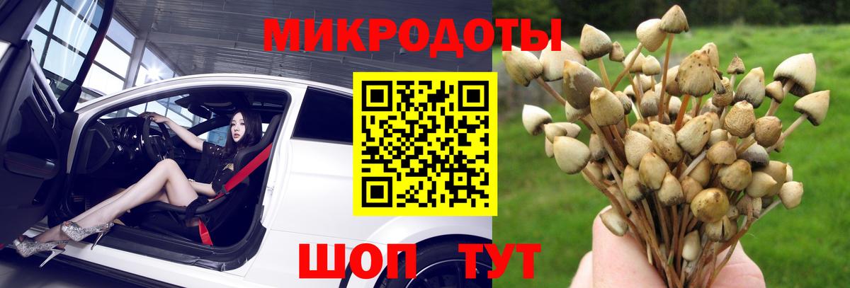 Бутурлиновка  хочу   Псилоцибиновые грибы Psilocybe  Вход с VPN  Галлюциногенные грибы Psilocybe 
